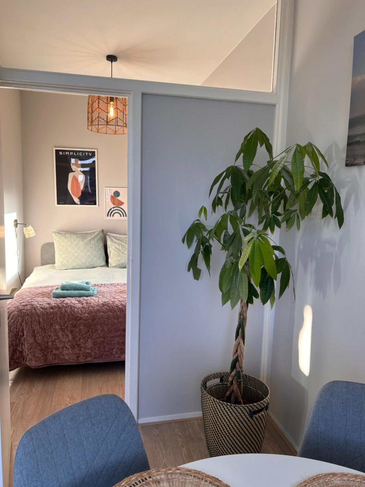 Amsterdam Beach Apartment 17, Incl Parking + Garden Zandvoort Ngoại thất bức ảnh